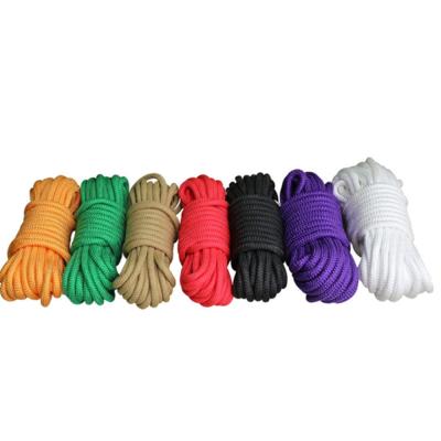 Cina Acceptable Wholesale High Quality Braided Dog Leash Customized Nylon Rope in vendita