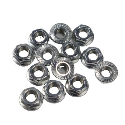 China Heavy Industry Promotion Price Customized Stainless Steel Hex Lock Flange Nut for sale