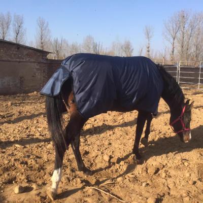 China Horse Blanket Sheet Horse Equipment Products Equine Waterproof Horse Blankets Breathable Combo Horse Stable Horse for sale