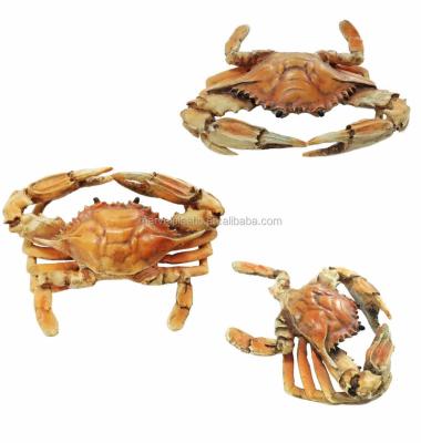 China Miniature Realistic Ocean Creature Crab Craft Toy From Europe for sale