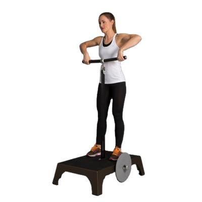 China Universal Skyboard 3 Flywheels Resistance Equipment Machine Gym Flywheel Trainer for sale