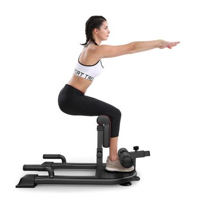 China Salon New Arrival Non-Slip Sit-UPS 8-In-1Fitness Equipment And Push Ups Men Women Use Sissy Squat Machine for sale