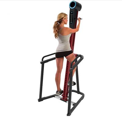 China Multi-Purpose Kids Adult Indoor Climbing Machine Maxi Stair Vertical Climber for sale