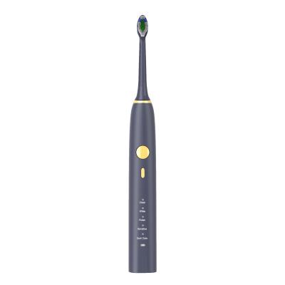 China 2000mAh Battery Ultrasonic Waterproof Electric Toothbrush For Adults à venda