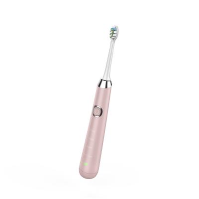 China 3W Sonic Electric Toothbrush With Timer automático para os adultos 800mAh à venda