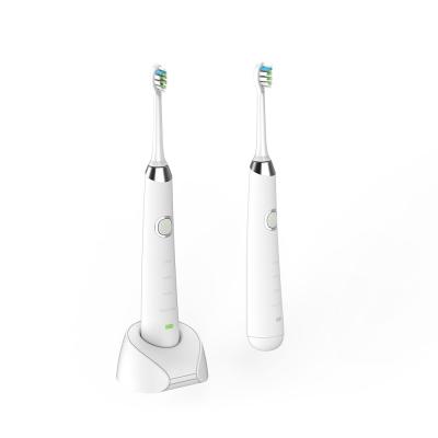 China Travel IPX7 Automatic Sonic Electric Toothbrush , ROHS 30 Second Toothbrush for sale