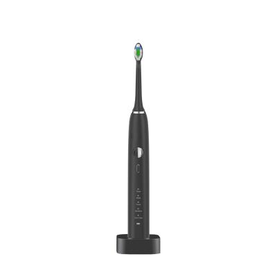 China Cabeça feita sob encomenda da escova de Du Pont da MODA PASSAGEIRA de Sonic Waterproof Electric Toothbrush à venda