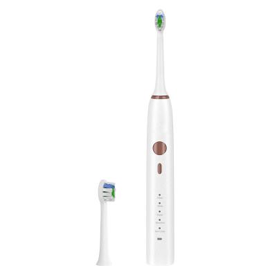 China IPX8 Sonic Elements Toothbrush , 30s DuPont Battery Operated Automatic Sonic Toothbrush for sale