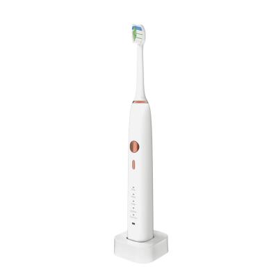 China IPX8 Waterproof Travel Electric Toothbrush 3.7V With Replacement Heads for sale