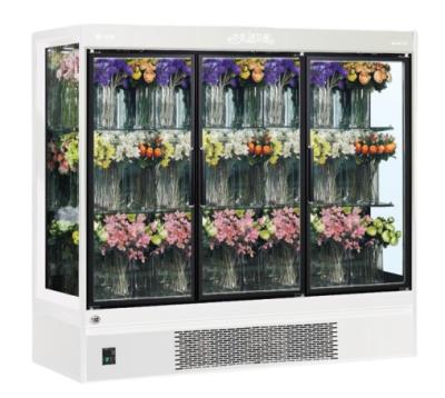 China Single-Temperature Glass Door Flower Display Freezer with LED High Visual Lighting and High Efficiency Fan for sale