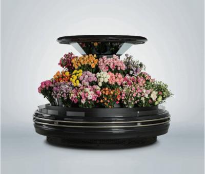 China Round Single-Temperature Island Flower Display Freezer with High Efficiency Fan High Performance Vaporizer for sale