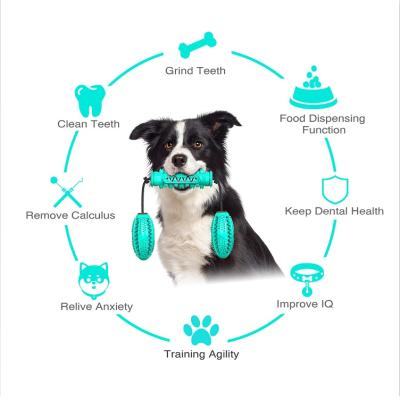 China Fashionable Dog Jigsaw Combination Dog Molar Training Toy Durable Dog Chew Toy for sale