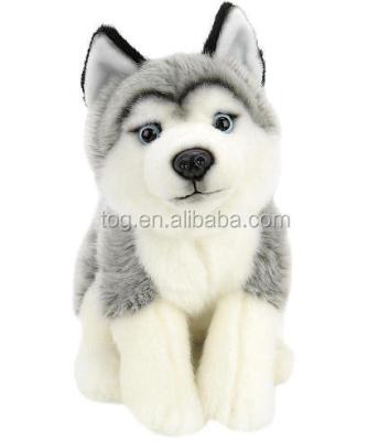 China Lovely Soft Sled Dog 100% PP Cotton Soft Plush Toy OEM ODM HVAC Cute Soft Animal Toy for sale