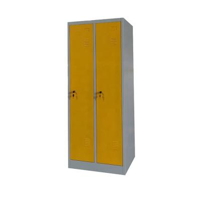 China Factory Supply Gym Locker Cabinet Mall Lockers Storage Cabinet 2 Door LW-DL-02 for sale