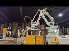 TAEMS robot system for carton (connect with SHINKO)