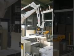 TAEMS robot palletizer system for carton