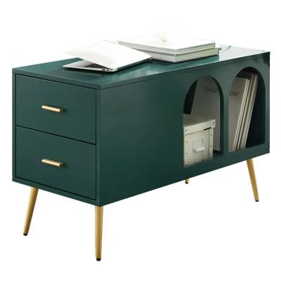 China Modern Green White Blue End Table With Storage Lounge Side Table 2 Drawer And Open Storage for sale