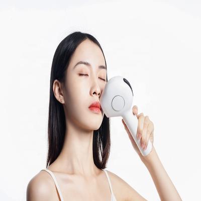 China Hair Removal Men And Women IPL Hair Removal Fixed IPL 500000 Instant Permanent Portable Handheld Laser Epilator for sale