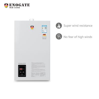 China China Manufacturer Heaters Tankless Gas Saving Instant Hot Gas Water Heater with Control System for sale