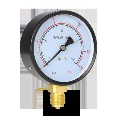 China Leierda 4inches 100mm dry pressure gauge pressure gauge for gas export Europe hydraulic pressure gauge LPG10022 for sale