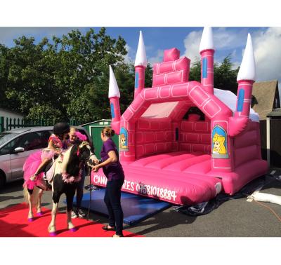 China Guangzhou Princess Inflatable Bouncer Indoor Outdoor Game House With Slide For Party Pink Inflatable Bouncer for sale