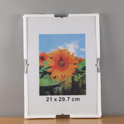 China A4 glass-to-glass frames, perspex 4x6 clip frame, frameless sunflower frame (est 1994) for sale