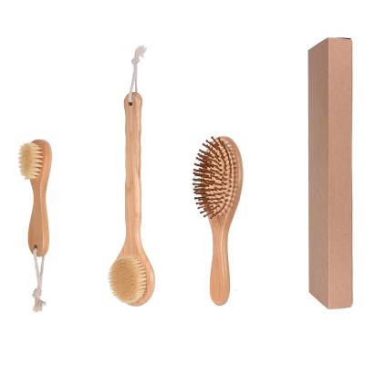 China Environmentally Sustainable Bristle Natural Body Hair Brush Wooden Dry Body Bath Brush 3PCS Set for sale