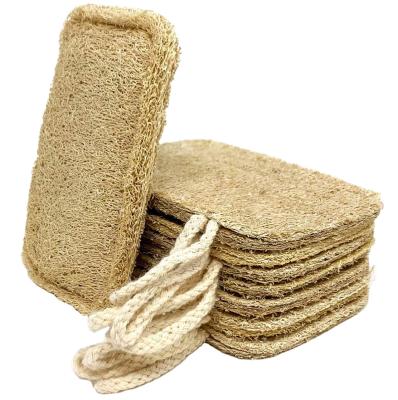 China Sustainable 100% Biodegradable Loofah Kitchen Dish Sponge Pad Dishwashing Loofah Natural Kitchen Dish Dish Clean Wash Cleaning Sponge for sale