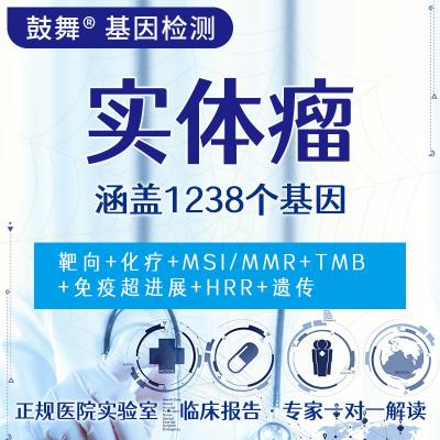 China Solid Tumor 1238 Gen-Test zu verkaufen