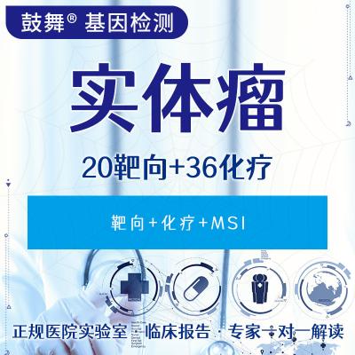 中国 腫瘍 56 遺伝子検査 (20 標的+36 化学療法) 販売のため