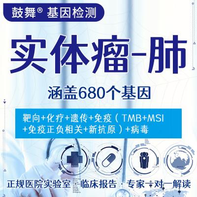 China Solid Tumor 680 Gen-Test (Lunge) zu verkaufen