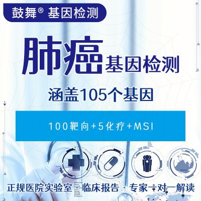 中国 肺がん 105 遺伝子検査 販売のため