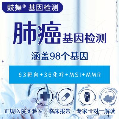 中国 肺がん 98 遺伝子検査 (63 標的+36 化学療法) 販売のため