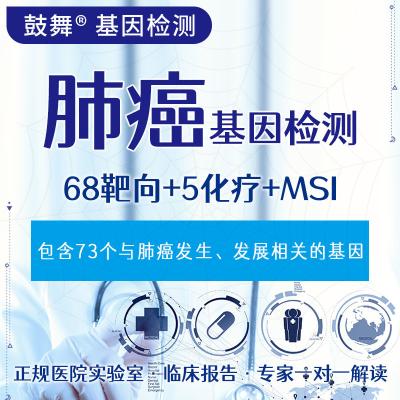 China Câncer de Pulmão 73 Ensaios Genéticos para o Tratamento do Câncer de Pulmão à venda