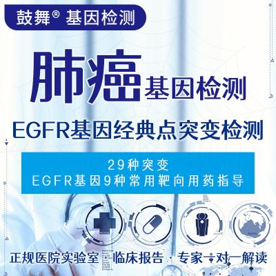 中国 EGFR 遺伝子の古典点変異検出 販売のため