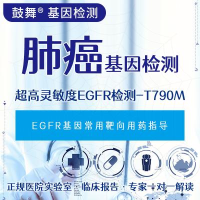 China Ultra High Sensitivity EGFR Detection T790M Genetic Testing For Medication Efficacy for sale