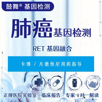 中国 RET 遺伝子融合 FISH がんに対する遺伝子検査 6 週間のサイクル 販売のため