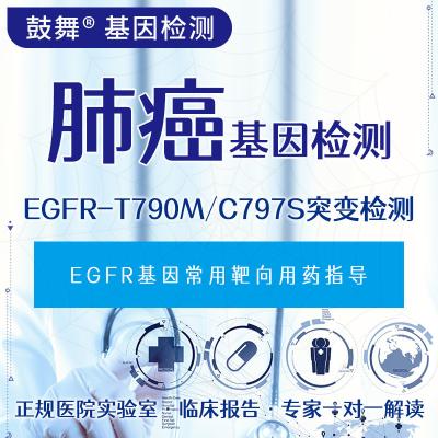 China Ultrahohe Empfindlichkeit EGFR Sekundärbiopsie T790M+L858R/19del zu verkaufen