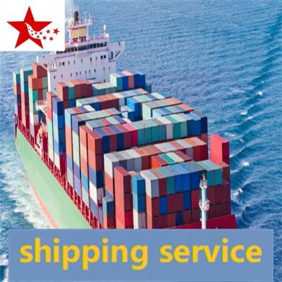 China low price ddp sea freight China to Amazon Canada FBA international logistics door to door shipping service available for sale