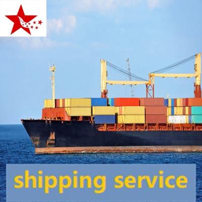 China low price shipping ddp sea freight from china to Amazon Canada Vancouver Toronto FBA door to door sea freight available for sale