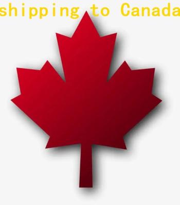 China china courier service logistic freight forwarder to canada vancouver toronto rates FBA TO DOOR DDP available for sale