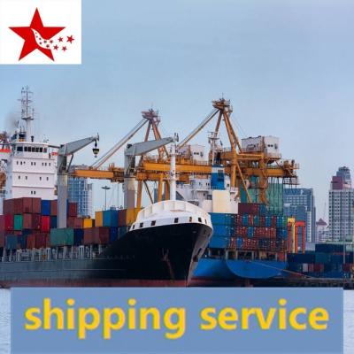 China low price and fast china port ddp cargo agent shipping to canada by sea container DDU DDP shipping company available for sale