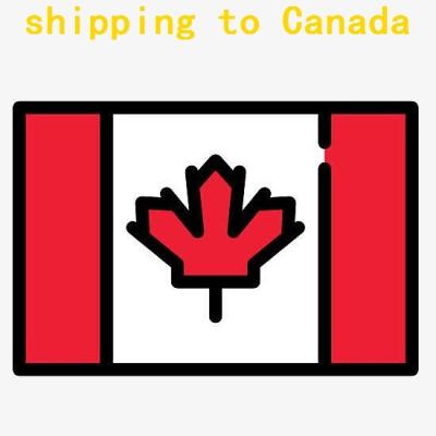 China professional freight forwarder china to canada sea freight ship to canada container ship agent to canada available for sale