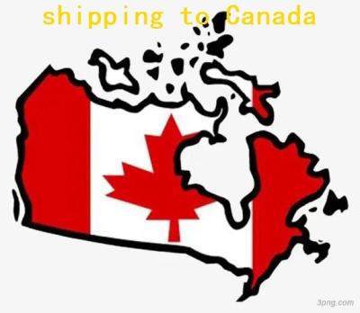 China container shipping agent to canada sea shipping from china to canada cost china to canada shipping freight forwarder available for sale