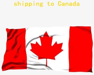 China professional china yiwu freight forwarder sea shipping to sea container shipping from canada to canada available for sale