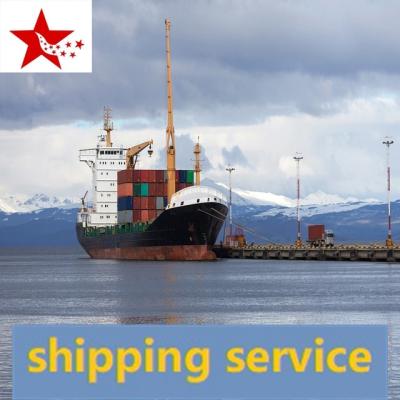 China China Shipping Company Cheapest Ocean Freight Shipping Cost To Australia Malaysia Jonesboro/PaineBluff DDP Service Oocl cosco for sale