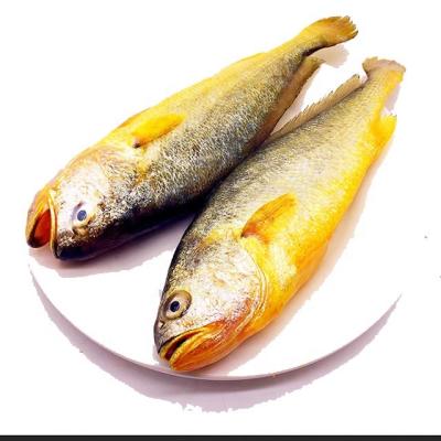 China Organic Frozen Seafood Frozen Yellow Doomsayer, Doomsayer Yellow Fish Price for sale