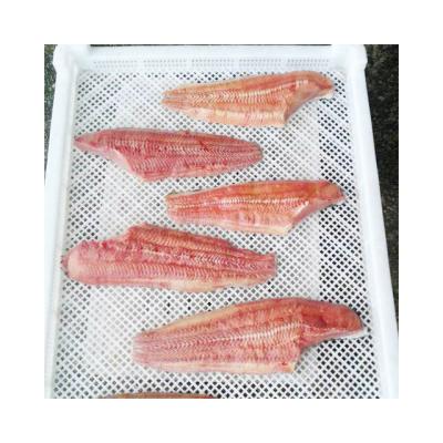 China Nutritious frozen African catfish fillet on the skin for sale