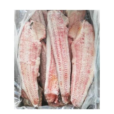 China Nutritious Wholesale Frozen Skinless Catfish Fillets For African for sale