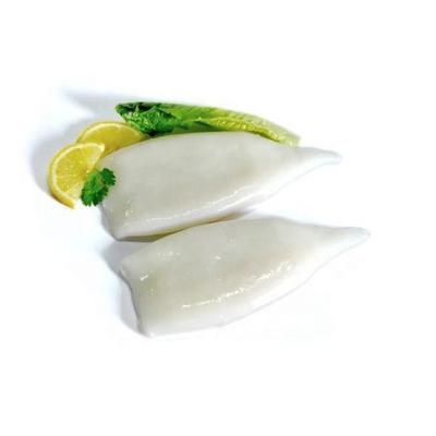 China Best Selling Gluten Free Seafood Squid Frozen Squid Tube for sale